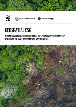Cover image of report for: Geospatial ESG