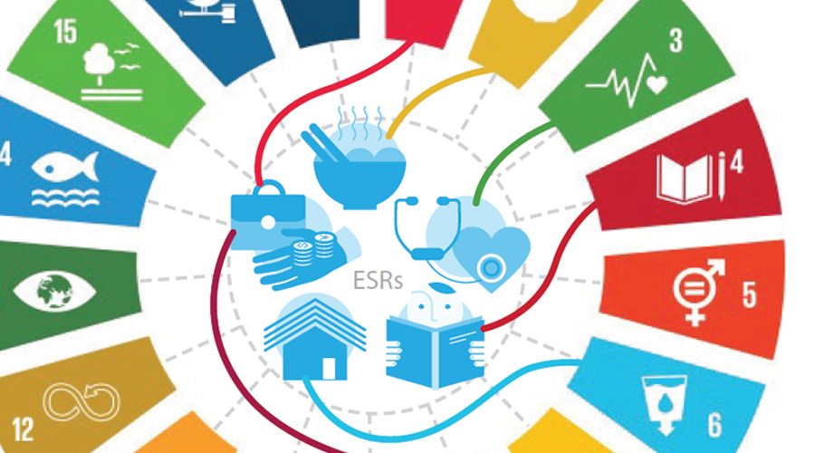 Report: The Potential Implications of Economic and Social Rights for Sovereign Debt Investing